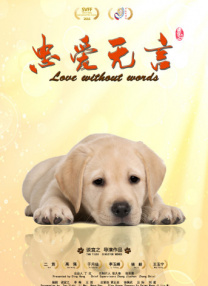 永久视频网站